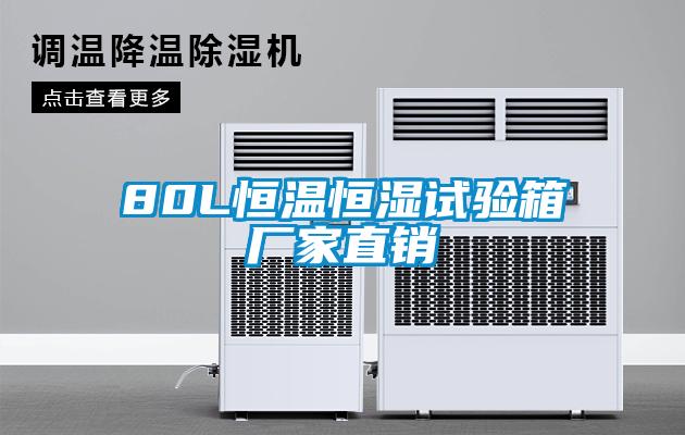 80L恒溫恒濕試驗(yàn)箱廠家直銷(xiāo)