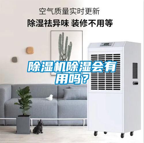 除濕機除濕會有用嗎？