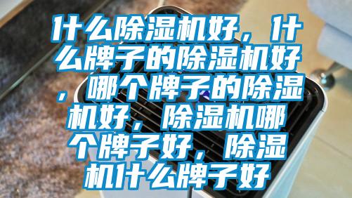 什么除濕機(jī)好，什么牌子的除濕機(jī)好，哪個(gè)牌子的除濕機(jī)好，除濕機(jī)哪個(gè)牌子好，除濕機(jī)什么牌子好