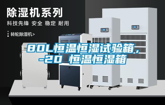 80L恒溫恒濕試驗(yàn)箱，-20℃恒溫恒濕箱