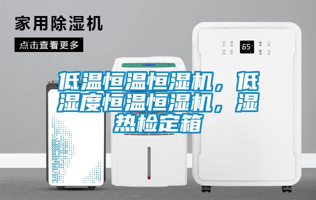 低溫恒溫恒濕機(jī)，低濕度恒溫恒濕機(jī)，濕熱檢定箱