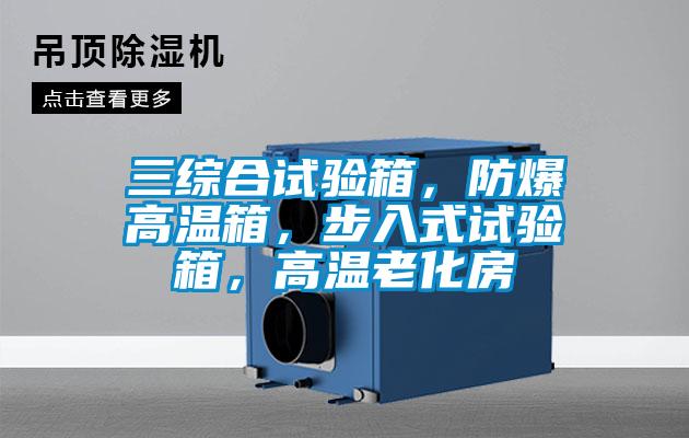 三綜合試驗箱，防爆高溫箱，步入式試驗箱，高溫老化房