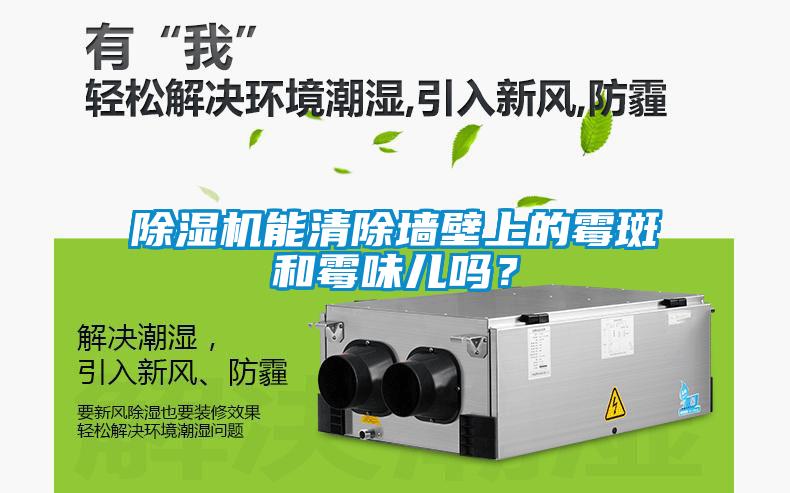 除濕機能清除墻壁上的霉斑和霉味兒嗎？