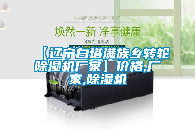 【遼寧白塔滿族鄉(xiāng)轉輪除濕機廠家】價格,廠家,除濕機