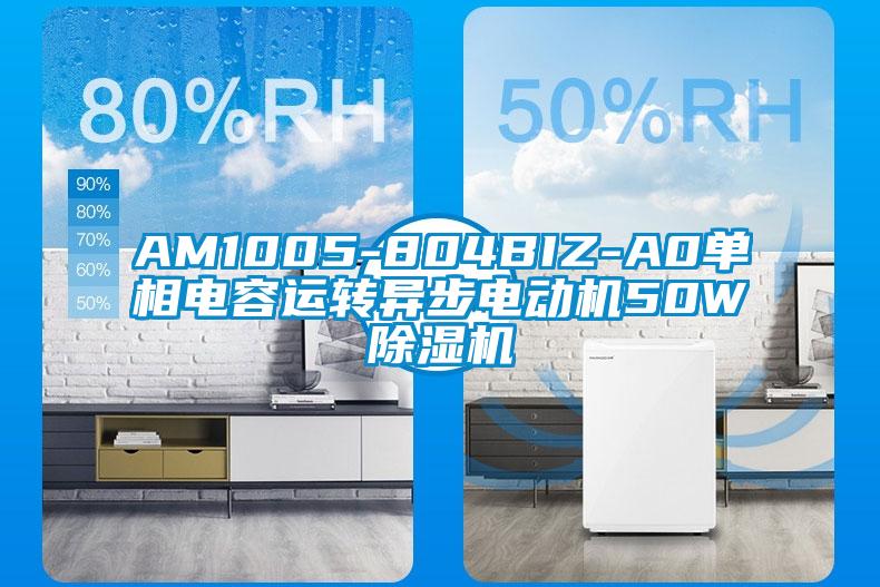 AM1005-804BIZ-A0單相電容運轉(zhuǎn)異步電動機50W除濕機