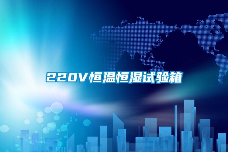 220V恒溫恒濕試驗(yàn)箱