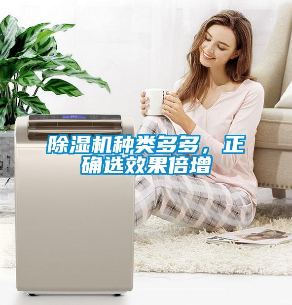 除濕機種類多多，正確選效果倍增