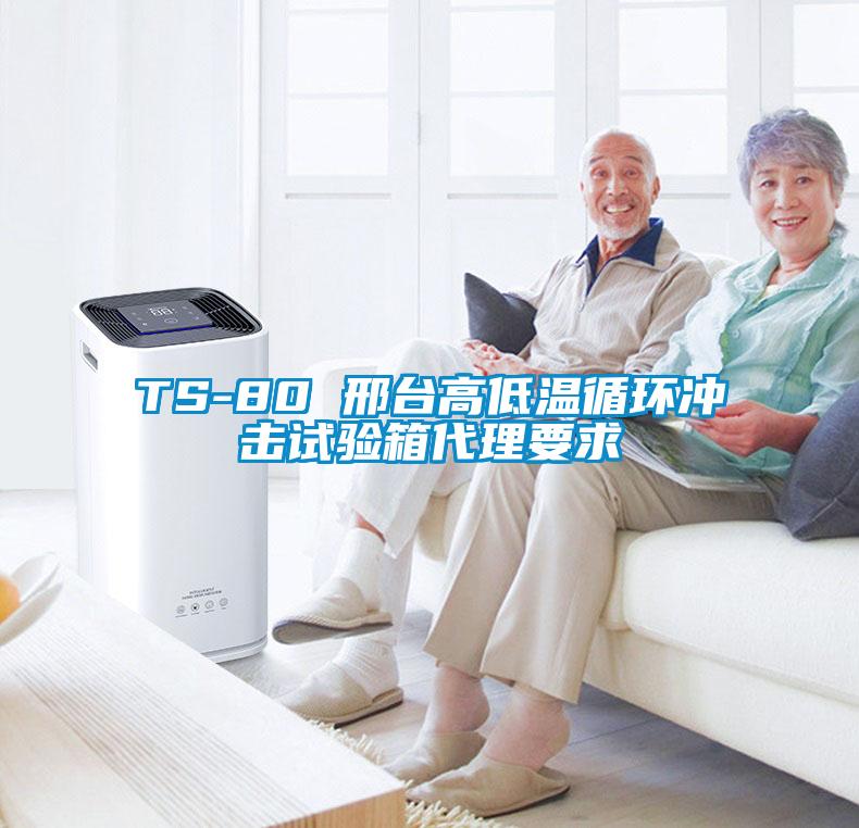 TS-80 邢臺(tái)高低溫循環(huán)沖擊試驗(yàn)箱代理要求