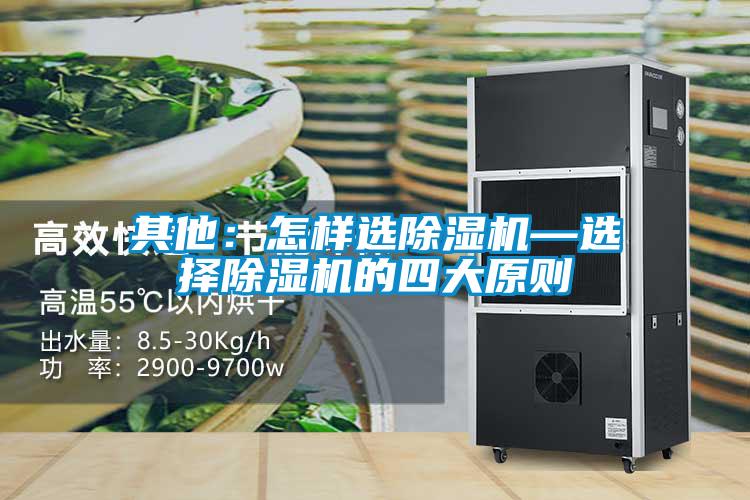 其他：怎樣選除濕機(jī)—選擇除濕機(jī)的四大原則