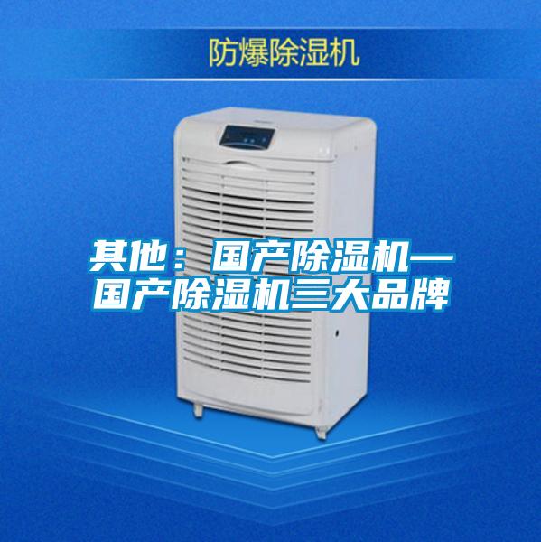 其他：國(guó)產(chǎn)除濕機(jī)—國(guó)產(chǎn)除濕機(jī)三大品牌