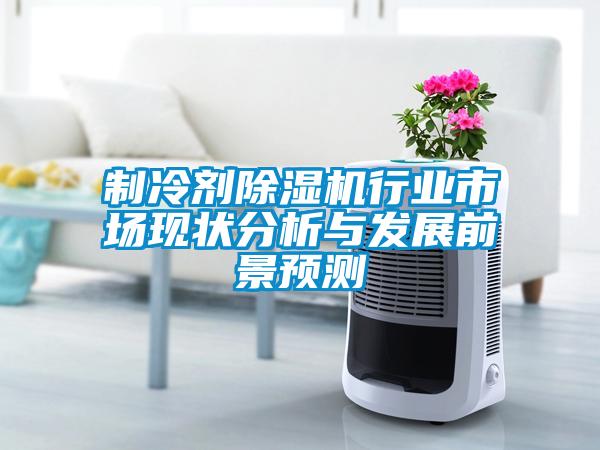 制冷劑除濕機行業(yè)市場現(xiàn)狀分析與發(fā)展前景預測