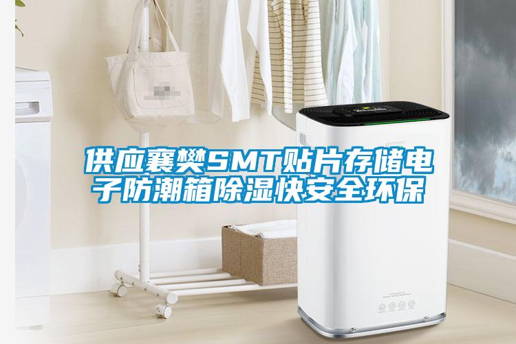 供應(yīng)襄樊SMT貼片存儲(chǔ)電子防潮箱除濕快安全環(huán)保