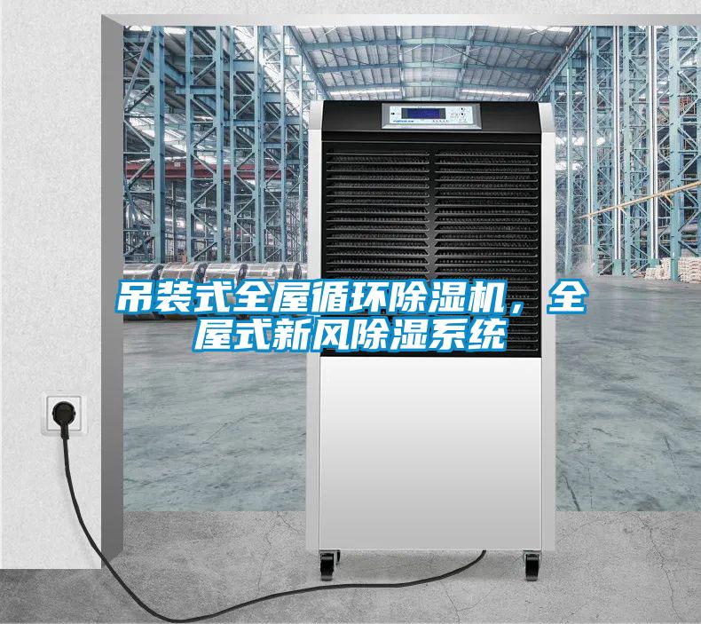 吊裝式全屋循環(huán)除濕機(jī)，全屋式新風(fēng)除濕系統(tǒng)