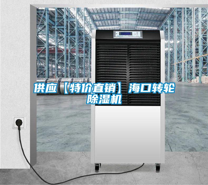 供應(yīng)【特價直銷】海口轉(zhuǎn)輪除濕機