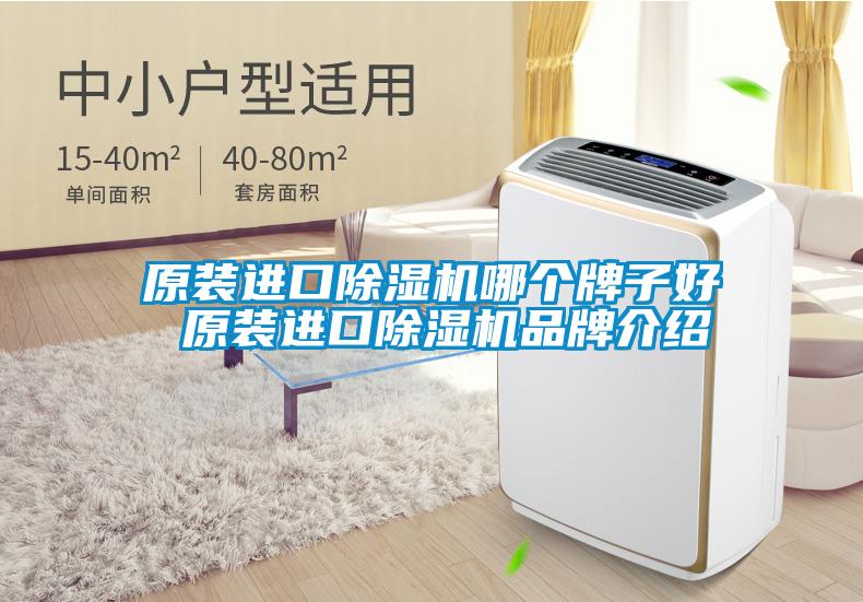 原裝進(jìn)口除濕機(jī)哪個牌子好 原裝進(jìn)口除濕機(jī)品牌介紹