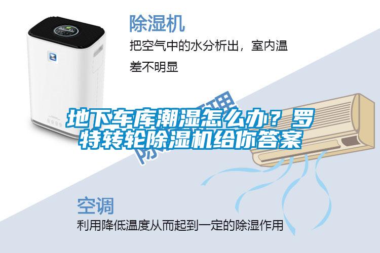 地下車庫(kù)潮濕怎么辦？羅特轉(zhuǎn)輪除濕機(jī)給你答案