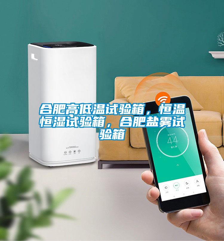 合肥高低溫試驗(yàn)箱，恒溫恒濕試驗(yàn)箱，合肥鹽霧試驗(yàn)箱