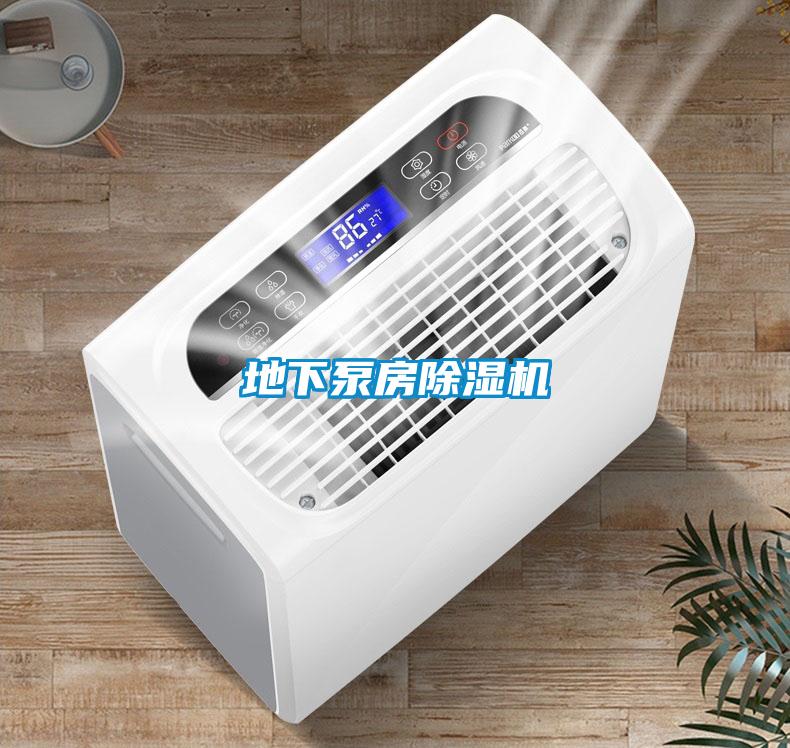地下泵房除濕機(jī)