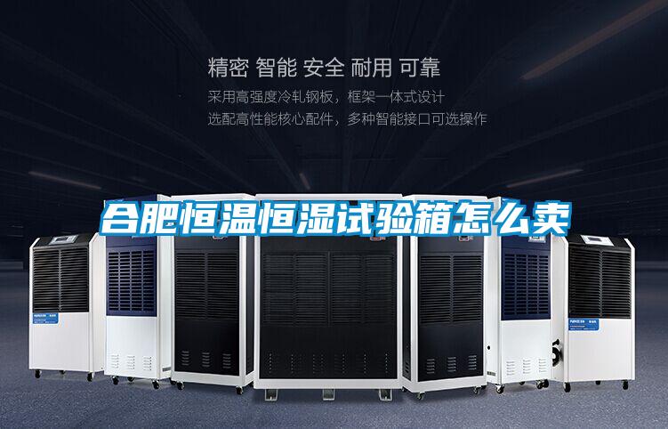 合肥恒溫恒濕試驗(yàn)箱怎么賣(mài)