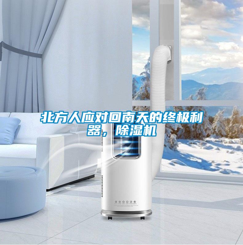 北方人應(yīng)對(duì)回南天的終極利器，除濕機(jī)