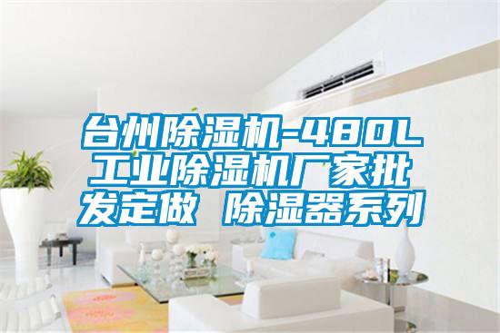 臺州除濕機-480L工業(yè)除濕機廠家批發(fā)定做 除濕器系列