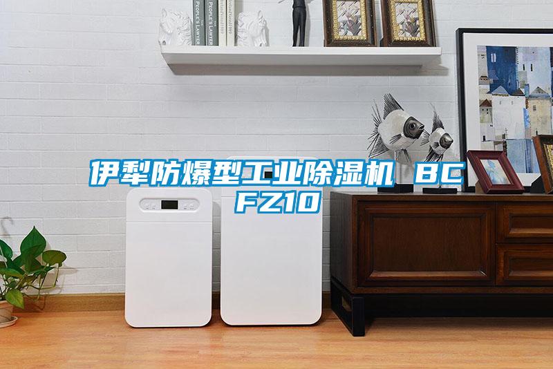 伊犁防爆型工業(yè)除濕機 BCFZ10