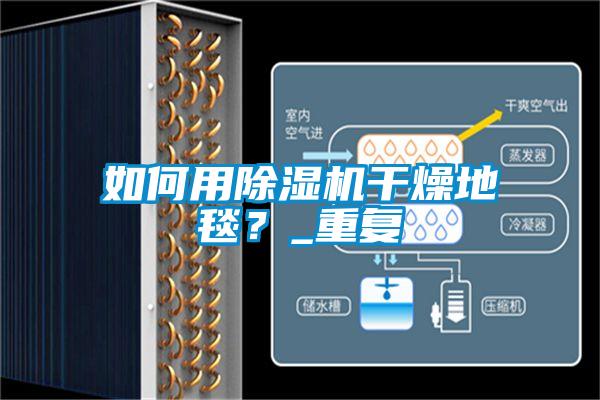 如何用除濕機干燥地毯？_重復(fù)