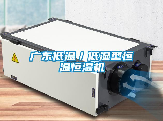廣東低溫／低濕型恒溫恒濕機(jī)