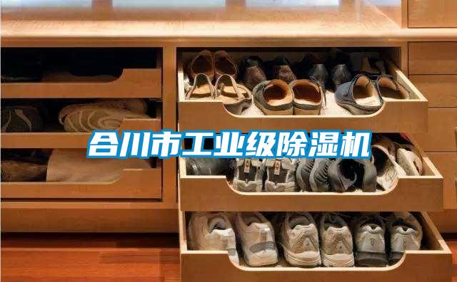 合川市工業(yè)級(jí)除濕機(jī)