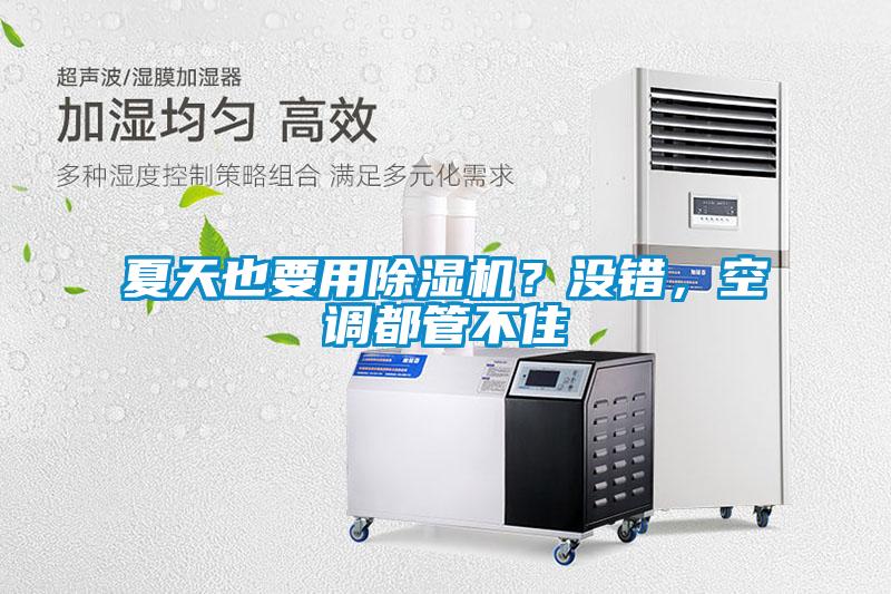 夏天也要用除濕機？沒錯，空調(diào)都管不住
