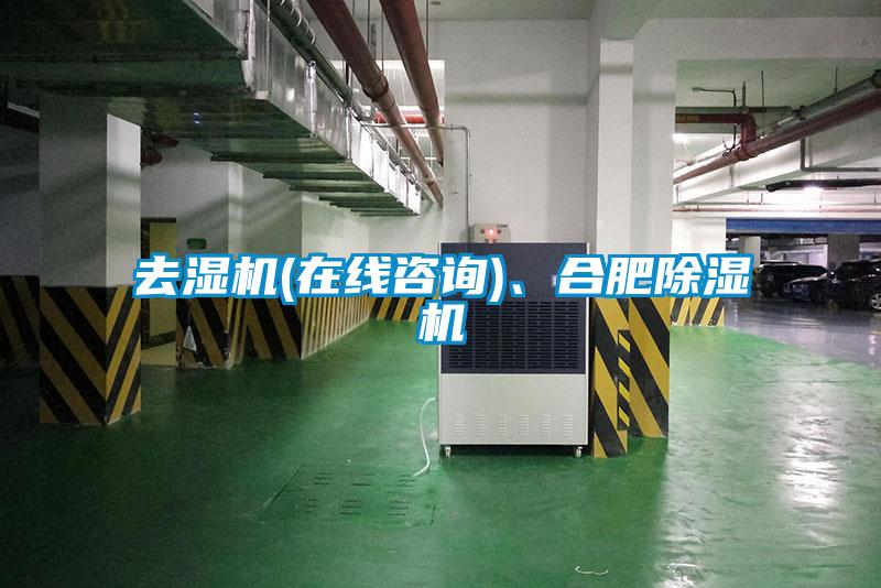 去濕機(在線咨詢)、合肥除濕機