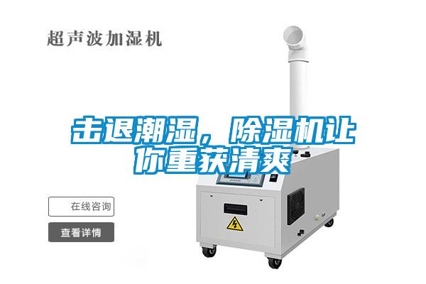 擊退潮濕，除濕機讓你重獲清爽