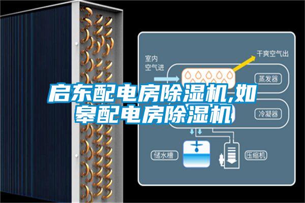 啟東配電房除濕機(jī),如皋配電房除濕機(jī)