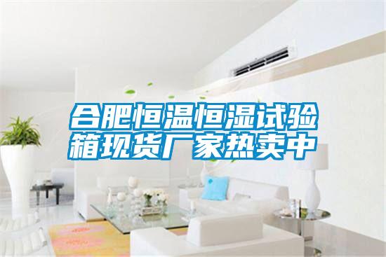 合肥恒溫恒濕試驗(yàn)箱現(xiàn)貨廠家熱賣中
