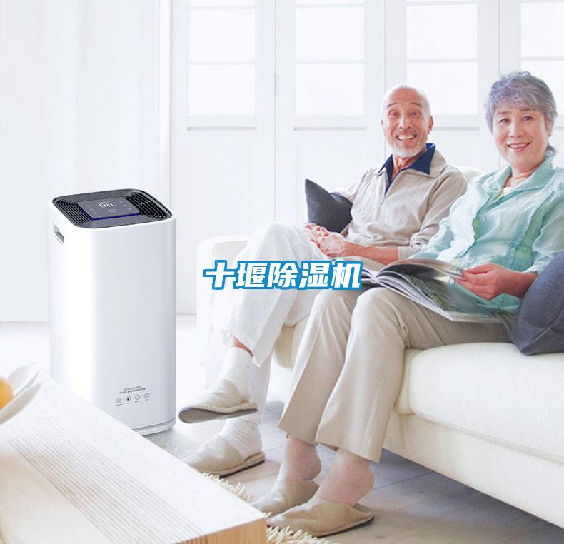 十堰除濕機(jī)