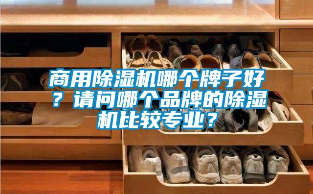 商用除濕機哪個牌子好？請問哪個品牌的除濕機比較專業？