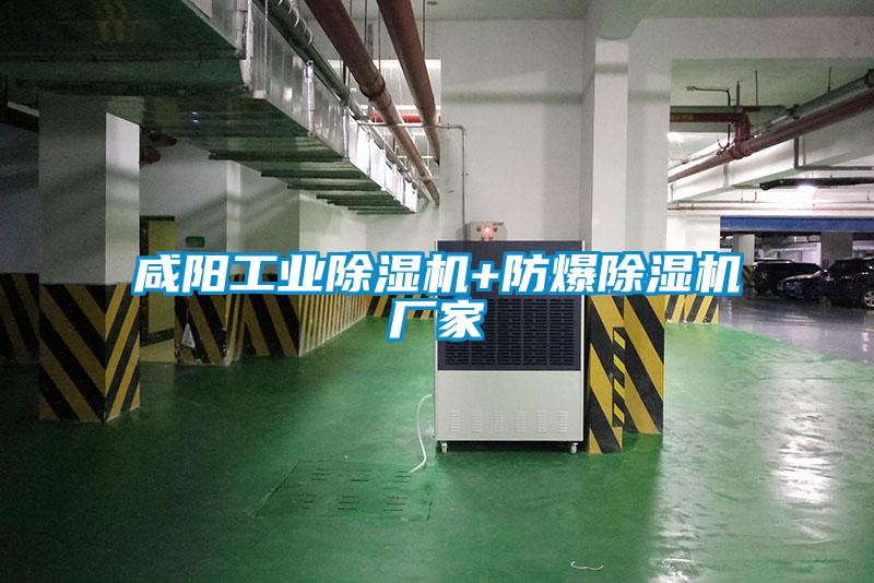 咸陽工業(yè)除濕機(jī)+防爆除濕機(jī)廠家