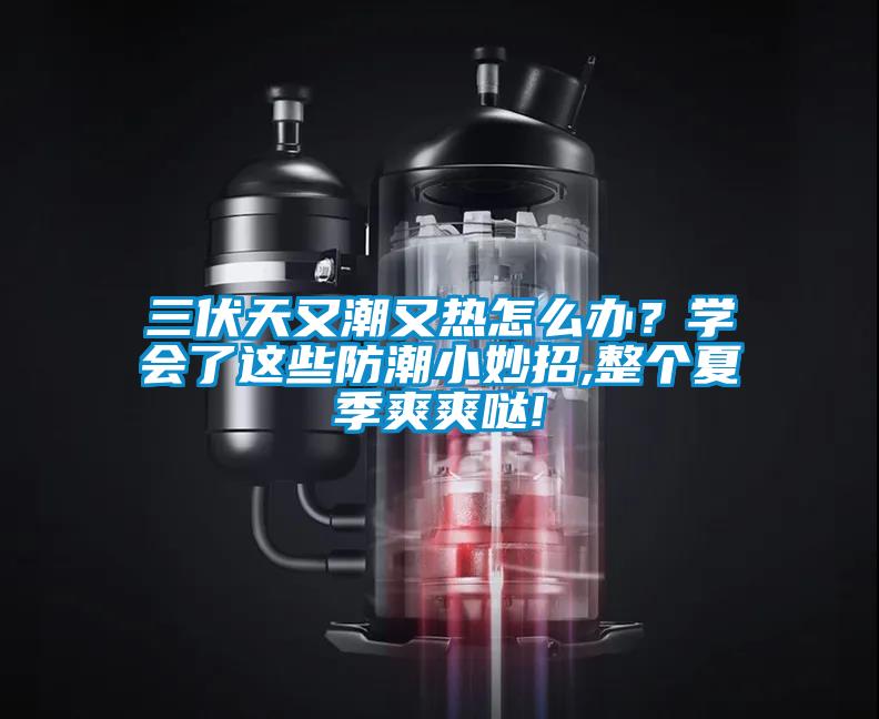 三伏天又潮又熱怎么辦？學會了這些防潮小妙招,整個夏季爽爽噠!
