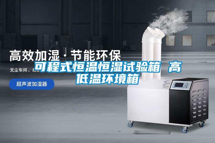 可程式恒溫恒濕試驗箱 高低溫環境箱