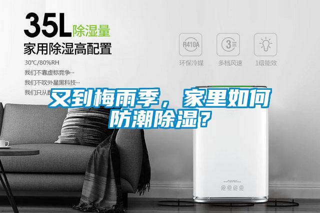 又到梅雨季，家里如何防潮除濕？