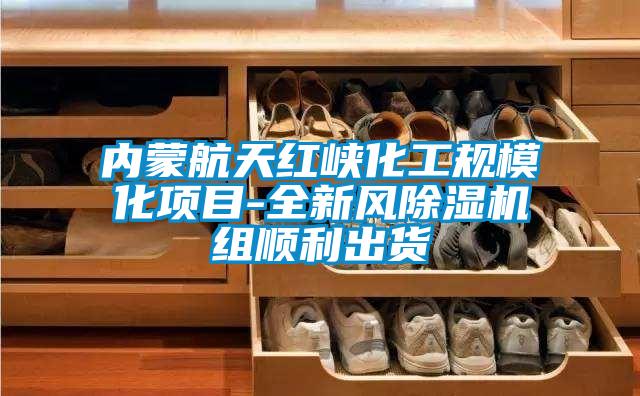內(nèi)蒙航天紅峽化工規(guī)模化項目-全新風除濕機組順利出貨