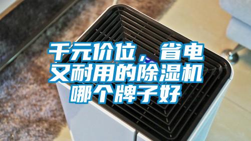 千元價(jià)位，省電又耐用的除濕機(jī)哪個(gè)牌子好