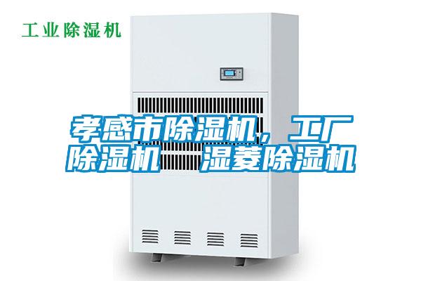 孝感市除濕機，工廠除濕機  濕菱除濕機