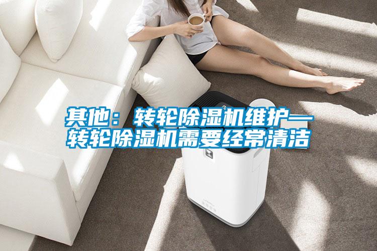 其他：轉(zhuǎn)輪除濕機維護(hù)—轉(zhuǎn)輪除濕機需要經(jīng)常清潔