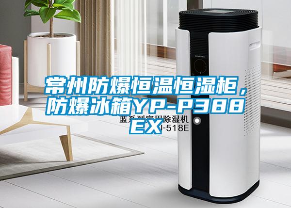 常州防爆恒溫恒濕柜，防爆冰箱YP-P388EX