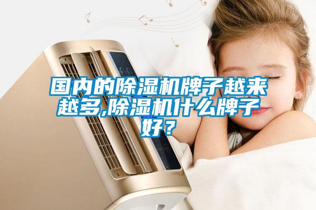 國內的除濕機牌子越來越多,除濕機什么牌子好？