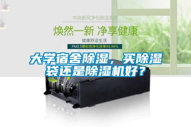 大學(xué)宿舍除濕，買除濕袋還是除濕機好？