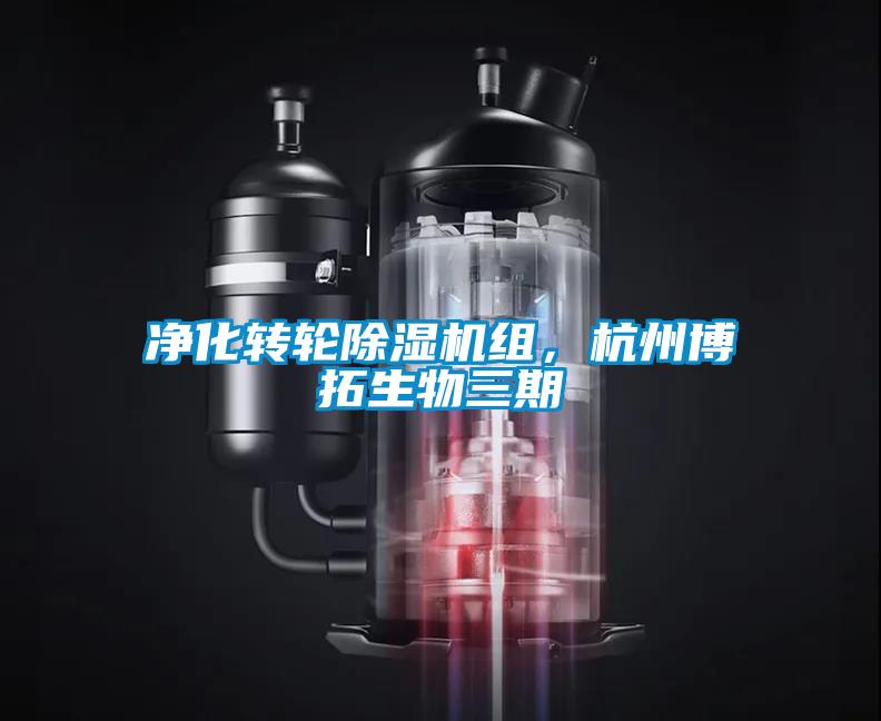 凈化轉(zhuǎn)輪除濕機(jī)組，杭州博拓生物三期