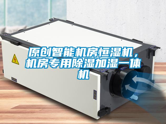 原創(chuàng)智能機(jī)房恒濕機(jī)，機(jī)房專(zhuān)用除濕加濕一體機(jī)