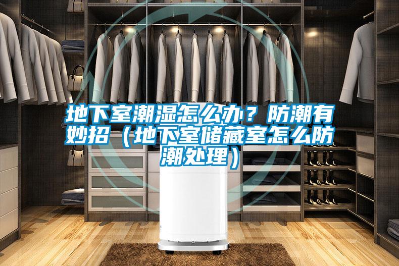 地下室潮濕怎么辦？防潮有妙招（地下室儲藏室怎么防潮處理）